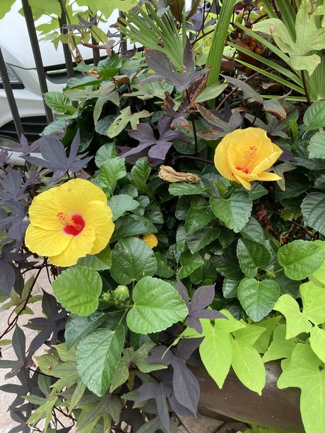 Mindy Hansley nude actress pics