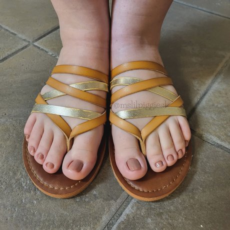 Ms Lil Piggies pornstar high quality images