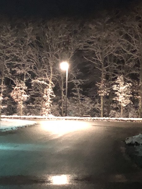 EveryDesire erotic star gallery