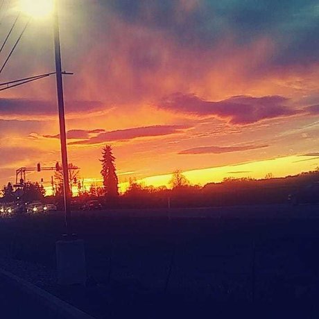 Rose Sanchez xxx actress gallery