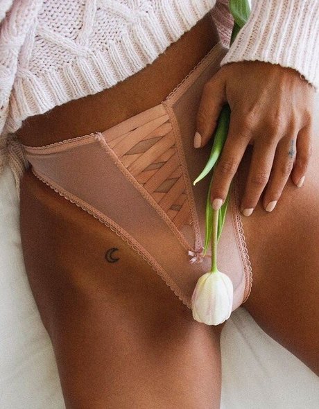 Leidys Ortiz star archive