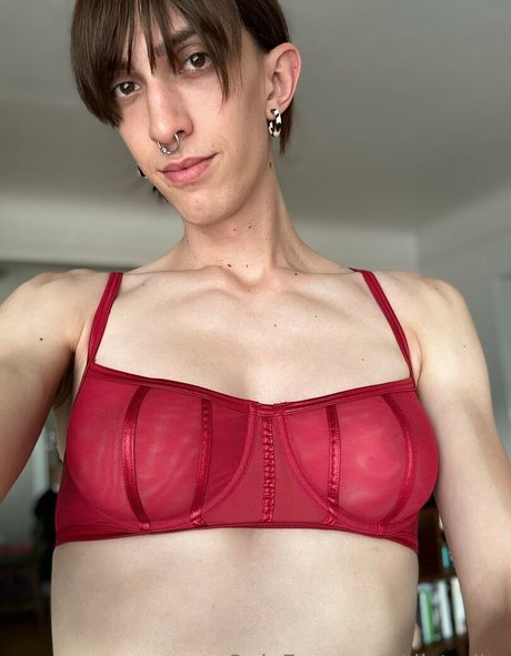 distyditz model pictures