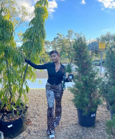 Plantbae pornographic actress pictures