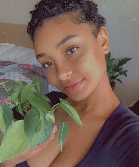 Plantbae hd model archive