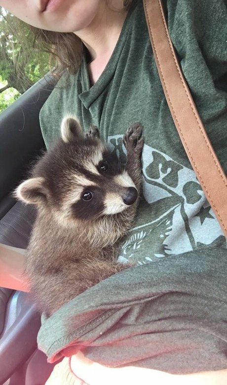 Rose Castella nudes model pics