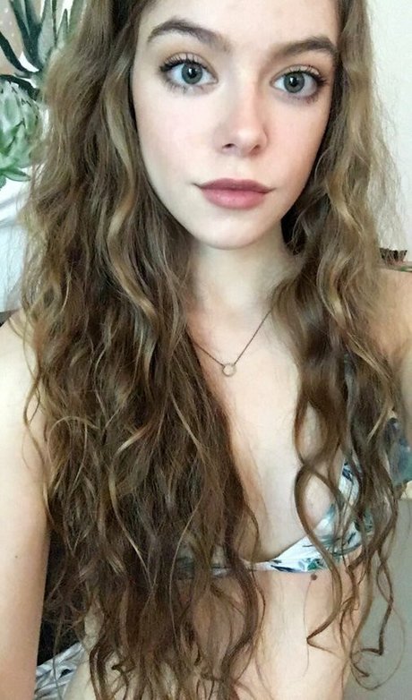 Rose Castella hd star images