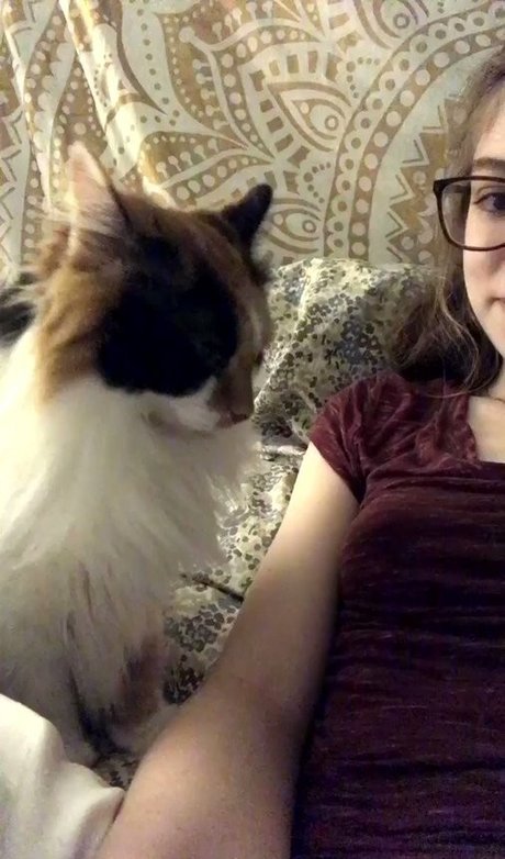 Rose Castella pornographic actress img