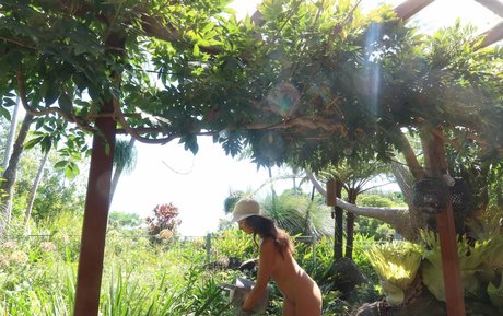 Jessa The Nude Blogger nude star gallery