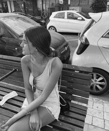 lotem passal star nice gallery