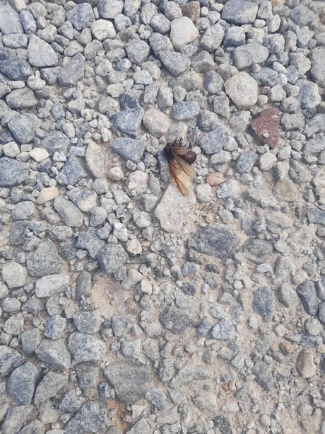 Desativado pornstar nudes pic