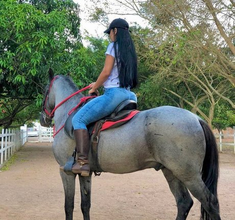 Lismara Moreira adult actress images