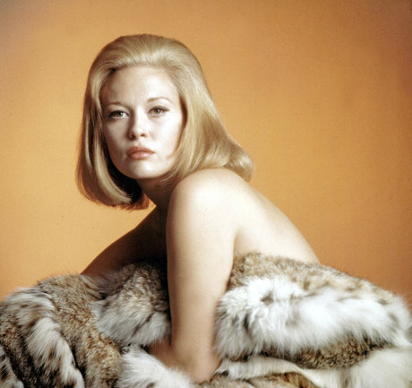 Faye Dunaway model xxx pictures