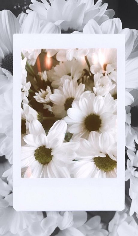 hippie luna pornstar art picture