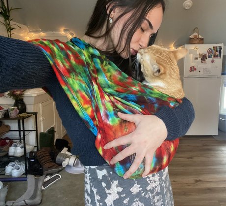 Emma Lilly star art gallery