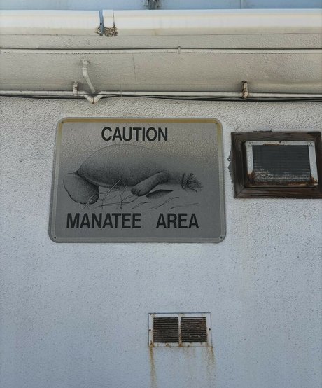 Hanna Luukkonen nudes star images