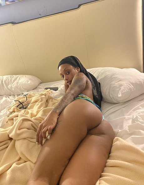 softnunu star art picture