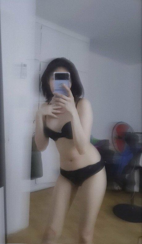 Ruina top model galleries