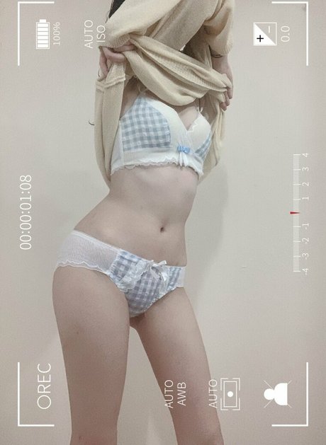 Ruina beautiful model galleries