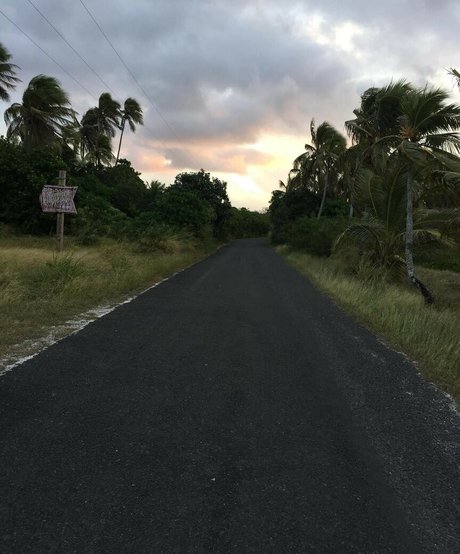 Adele tsy beautiful pornstar pics