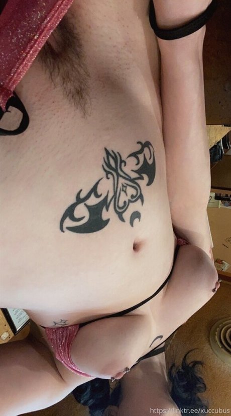 svxxvbvs star perfect archive