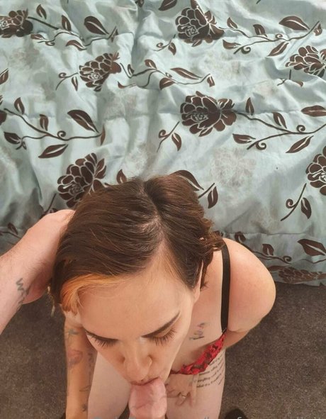 trans free onlyfans best pictures