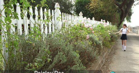 pretty pussy onlyfans hot porn img