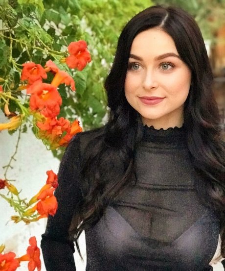 Gianna DiDonato pornographic star archive