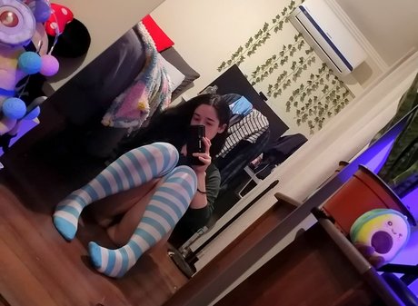 Akiracat star free photo