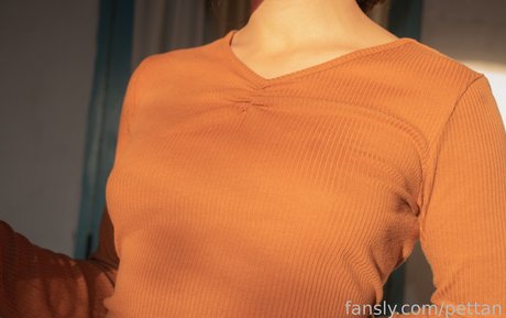 pettan perfect pornstar image