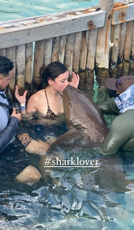 Solibeth Brito art pornstar img