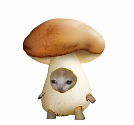 redhead fuck onlyfans pornos picture