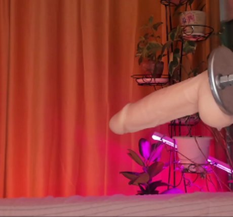 Aplaceforustodream sexy pornstar galleries