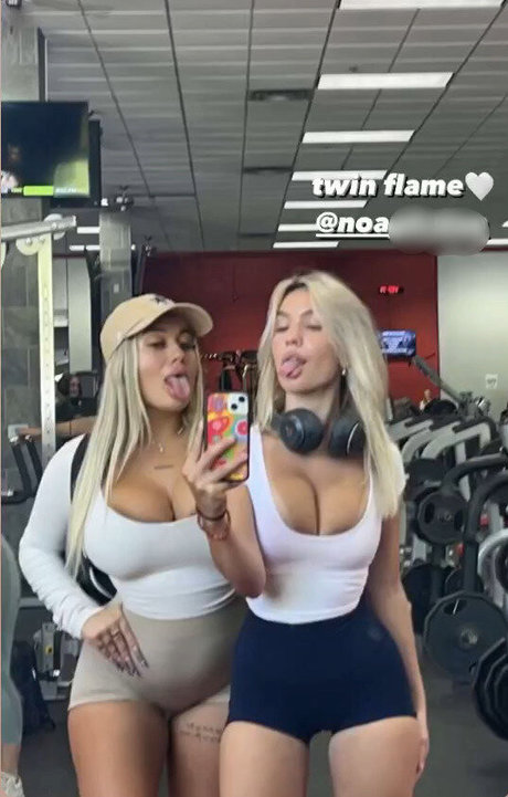 Gianna Malave star art picture