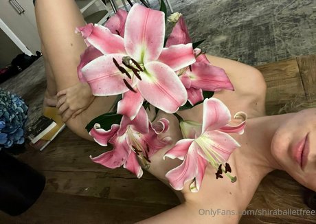 shiraballetfree star nice img