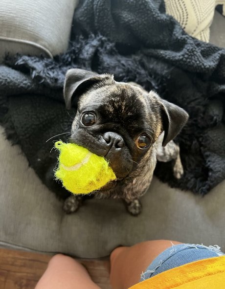 maddyspremium star sex images