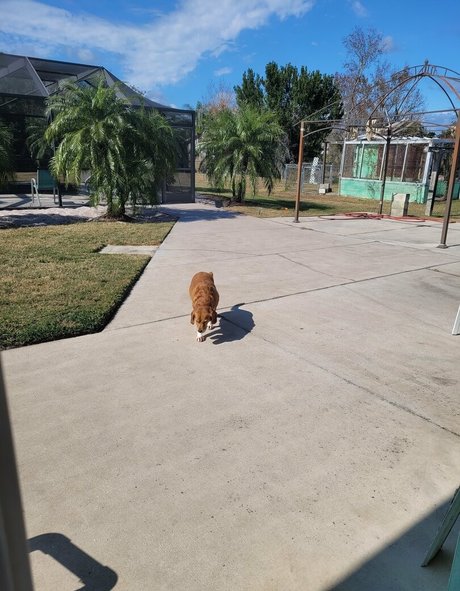 heavenlyterp art actress pictures