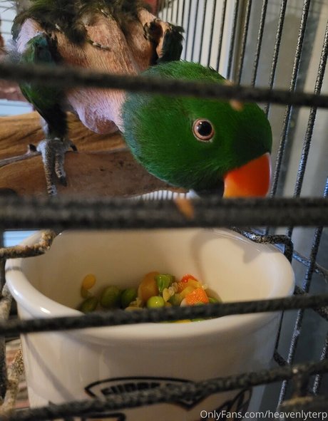 pov pussy onlyfans sexy nudes image