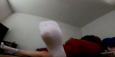 remifree star exclusive archive