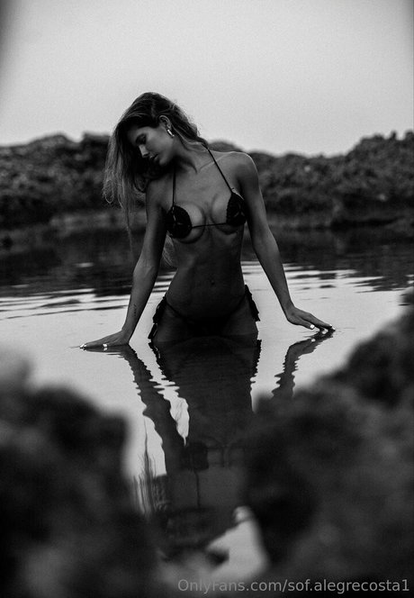 sof alegrecosta1 star nice pictures