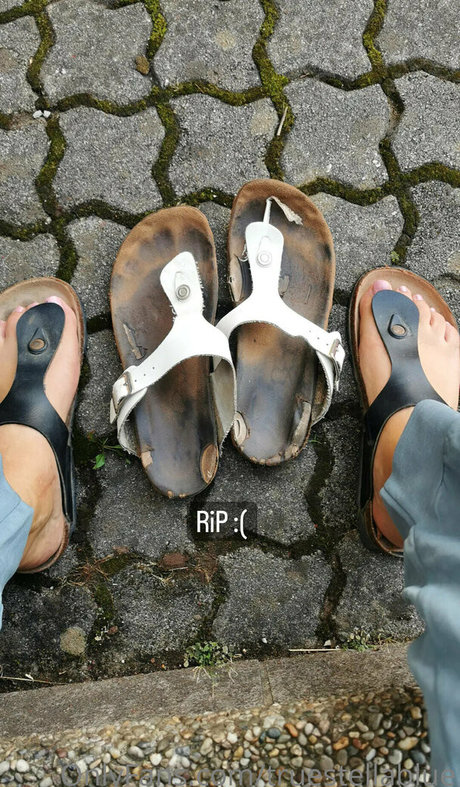 japanese blowjob onlyfans free img