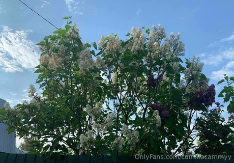 big tits blonde onlyfans free archive