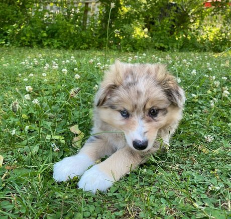 cosplay femboy onlyfans pornographic gallery