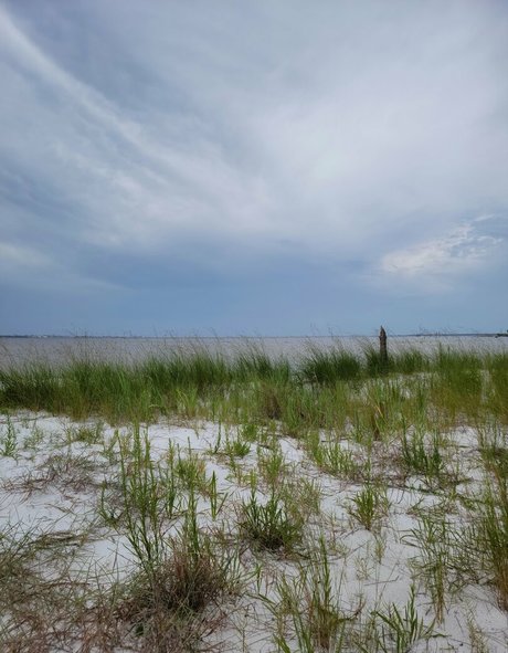 nellebeachgirl nice actress img