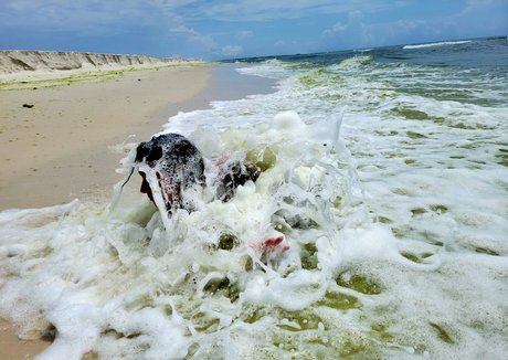 thick ass onlyfans sex pics