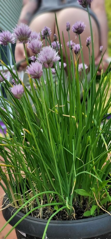 famous onlyfans beautiful porn pic