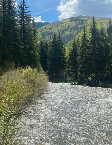 montana2004 star hot photo