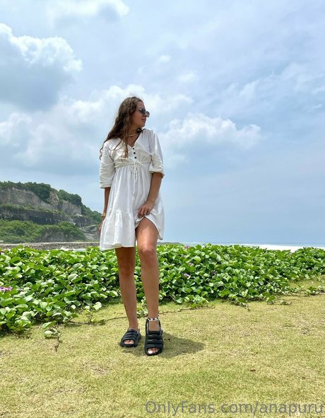 anapuru art star img