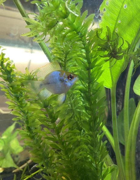 thick girls onlyfans hot images