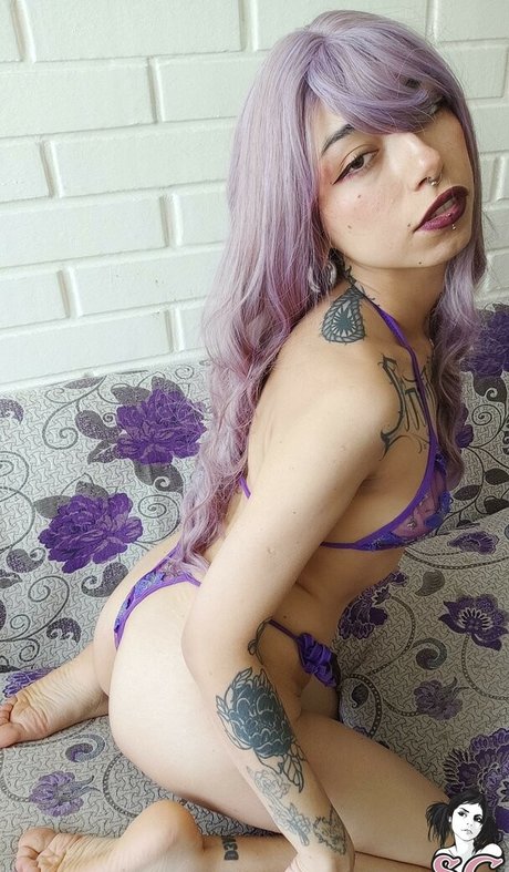 Donnacat erotic star picture