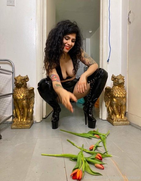 mistresssophiasahara pornstar hd img